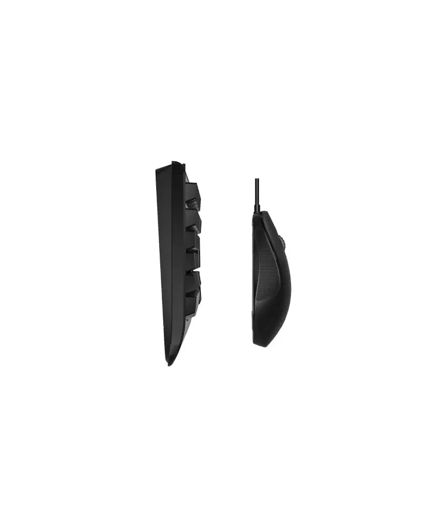 Lecoo CM105 USB Kablolu Türkçe Q Klavye & Mouse Set Siyah